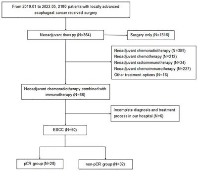 Prediction of pCR based on clinical-radiomic model in patients with locally advanced ESCC treated with neoadjuvant immunotherapy plus chemoradiotherapy